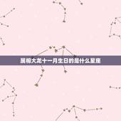 属相大龙十一月生日的是什么星座，属大龙的是什么星座