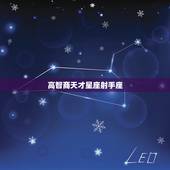 高智商天才星座射手座，智商和情商都高的星座