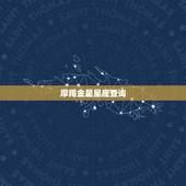 摩羯金星星座查询，摩羯座金星落在水瓶座