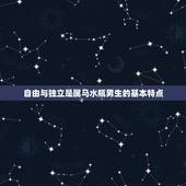 属马水瓶男生的爱情观(自由与独立不愿束缚)