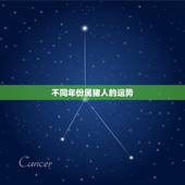 不同年份属猪人的运势