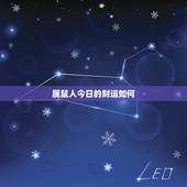 属鼠人今日的财运如何，属鼠人今日的财运如何呢