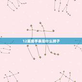 12星座手表是什么牌子，星空十二星座手表