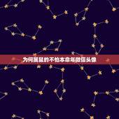 为何属鼠的不怕本命年微信头像，我属鼠用龙字做微信头像好吗