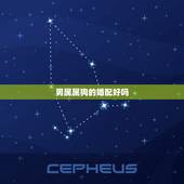 男属属狗的婚配好吗，属鸡男和属狗女婚配