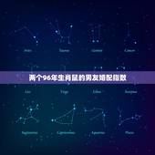 两个96年生肖鼠的男友婚配指数，两个96年属鼠的人结婚好不好