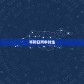 辛卯日丙申时生，辛卯日丙申时 绝处逢生