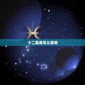 十二星座怎么查询，十二星座图片