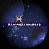属龙的今年运势龙和什么属相不合，属龙的今年运势