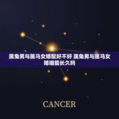 属兔男与属马女婚配好不好 属兔男与属马女婚姻能长久吗