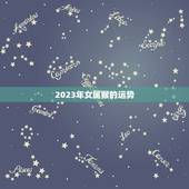 女属猴今年运势与财运(2023财运亨通但需谨慎投资)