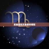武曲星和文曲星的婚配，文曲星是？武曲星是谁？