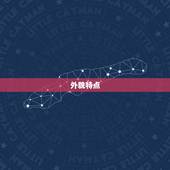 剑锋金命女孩长相特点(探秘神秘而独特的气质与魅力)