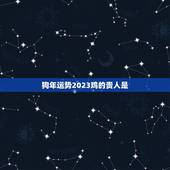 狗年运势2023鸡的贵人是