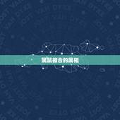 属鼠相合的属相，属鼠的和什么属相最合适