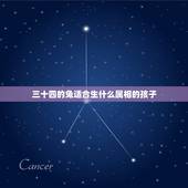 三十四的兔适合生什么属相的孩子，男兔女兔适合生什么属相的小孩