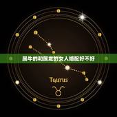 属牛的和属龙的女人婚配好不好，属牛的配属龙的好不好