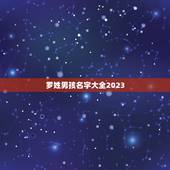 罗姓男孩名字大全2023，罗姓男孩取名