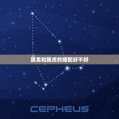 属龙和属虎的婚配好不好，属龙和属虎会成为朋友吗