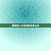 属蛇的人今日运势该怎么走