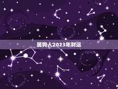 属狗人2023年财运，属狗人2023年财运怎么样