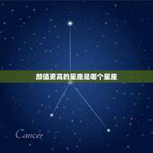 颜值更高的星座是哪个星座，十二星座哪个颜值更高