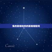 兔的属相和鸡的属相相配吗，生肖配对男鸡和女兔怎么