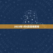2023年1月8日是啥属相，2023年1月I日出生的小孩属相是什么？