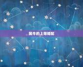 属牛的上等婚配，85年属牛的上等婚配