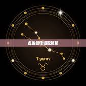虎兔最佳婚配属相，属兔的和什么属相最配
