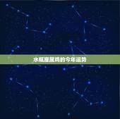 水瓶座属鸡的今年运势，水瓶座属今年运势