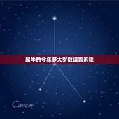 属牛的今年多大岁数请告诉我，属牛的今年多大了？