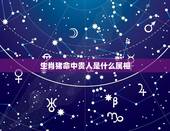 生肖猪命中贵人是什么属相，属猪的贵人是什么属相2015年