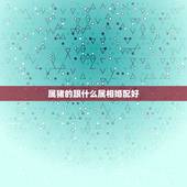 属猪的跟什么属相婚配好，属猪的和哪些属相相配