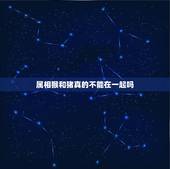 属相猴和猪真的不能在一起吗，猴和猪真的不能结婚吗？