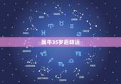 属牛35岁后转运，36岁本命年真的会不顺吗 2023年属牛怎样转运？