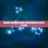 属狗男与属羊女的姻缘 属狗男和属羊女的合不合婚