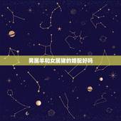 男属羊和女属猪的婚配好吗，属相婚配：男属羊和女属猪相配吗？