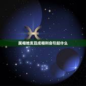 属相地支丑戌相刑会引起什么，丑戌土相刑丑戌土相刑是什么意思？