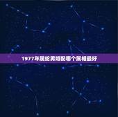 1977年属蛇男婚配哪个属相最好，属蛇婚配表，蛇男跟什么属相最配