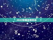 2023年属牛桃花运，属牛女孩几点出生比较好