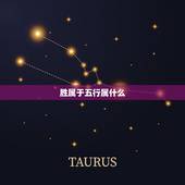 胜属于五行属什么，金木水火土五行属性各代表