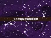 十二生肖配对表属相配对 最准确的十二属相婚配表