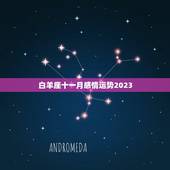 白羊座十一月感情运势2023，白羊座1月运势2023