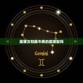 属猪女和属牛男的能婚配吗，属猪女和属牛男相配吗