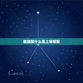 猴跟属什么是上等婚配，属猴的人和什么属相的人比较相配