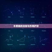 牛蒡根的功效与作用护肝，牛蒡根泡水喝竟有6个害处