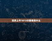 旧历上午1013分属相是什么，上午10点9分属相是什么