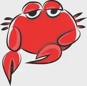 今日星座运势查询指南：精准解读你的每日星象