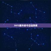 1973属牛的今日运势男